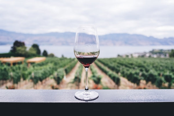 Enjoy a Virtual Vineyard Tour While Social Distancing